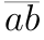 overline.gif